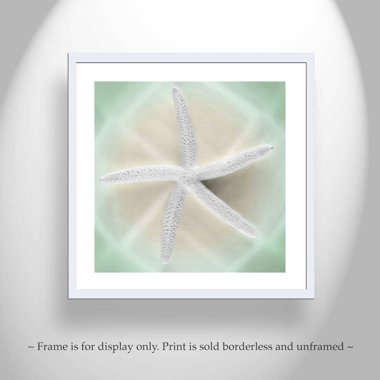 Seashell Art in Mint Green | Starfish Bathroom Wall Decor