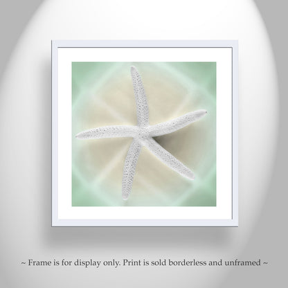 Seashell Art in Mint Green | Starfish Bathroom Wall Decor