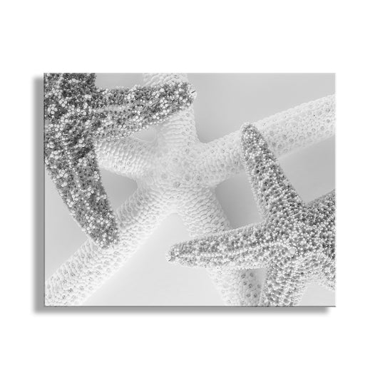 Close-up of a textured silver starfish on a white background. Starfish Art in Black & White | Unique Wall Decor for Bath & Home