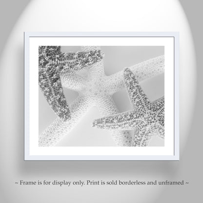 Starfish Art in Black & White | Unique Wall Decor for Bath & Home