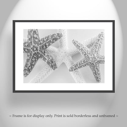 Starfish Photography Print in Black and White as Wall Art for Bath or Home