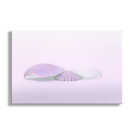 Lavender headband on a light purple background. Elegant Art for Bath with Pastel Blue Seashells | Unique Home Decor Print