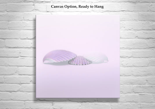 Bathroom Wall Decor with Pastel Seashells in Periwinkle Blue