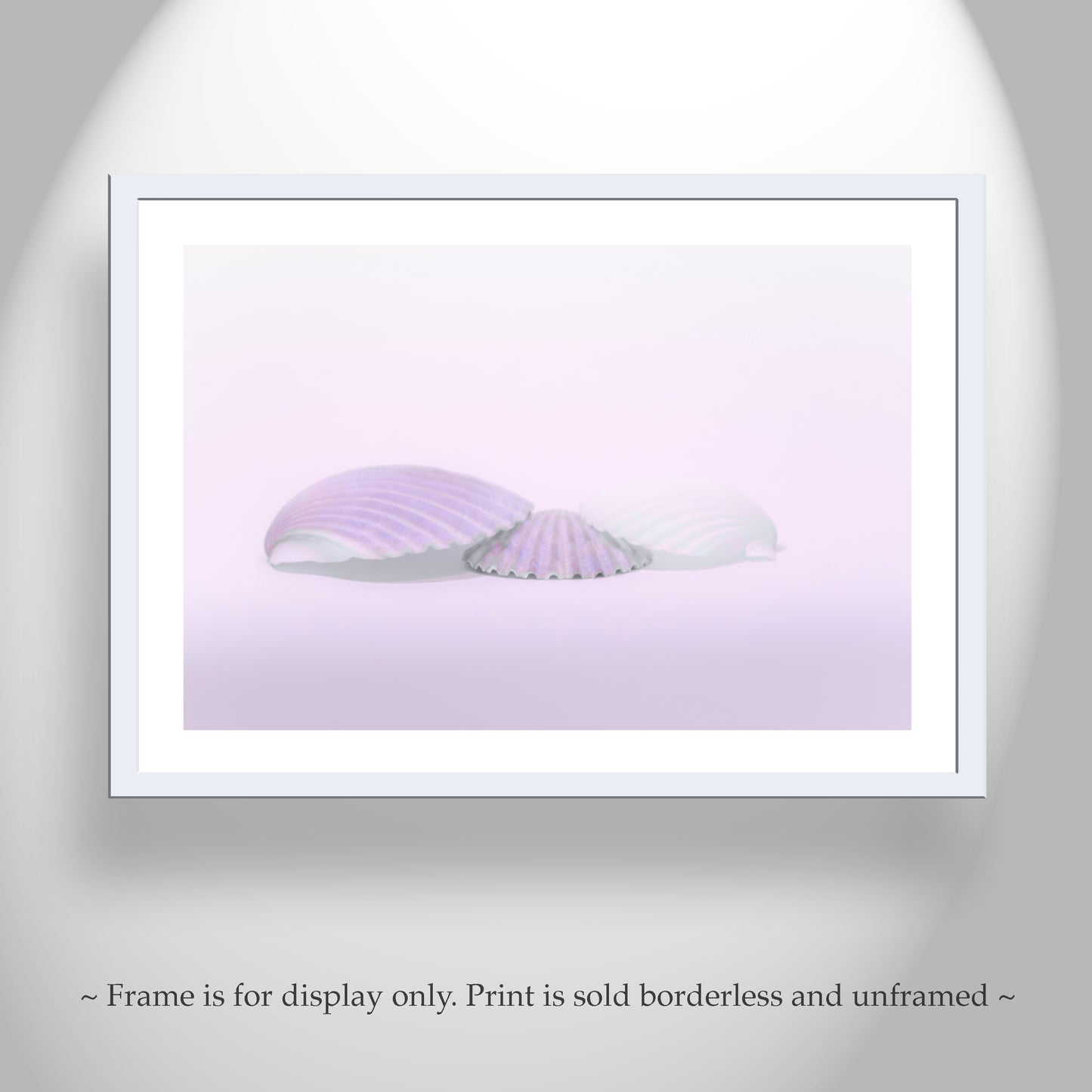 Elegant Art for Bath with Pastel Blue Seashells | Unique Home Decor Print