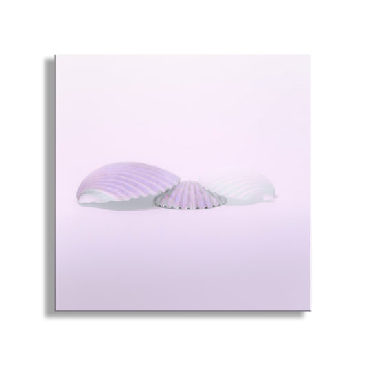 Lavender headband on a matching lavender background. Bathroom Wall Decor with Pastel Seashells in Periwinkle Blue
