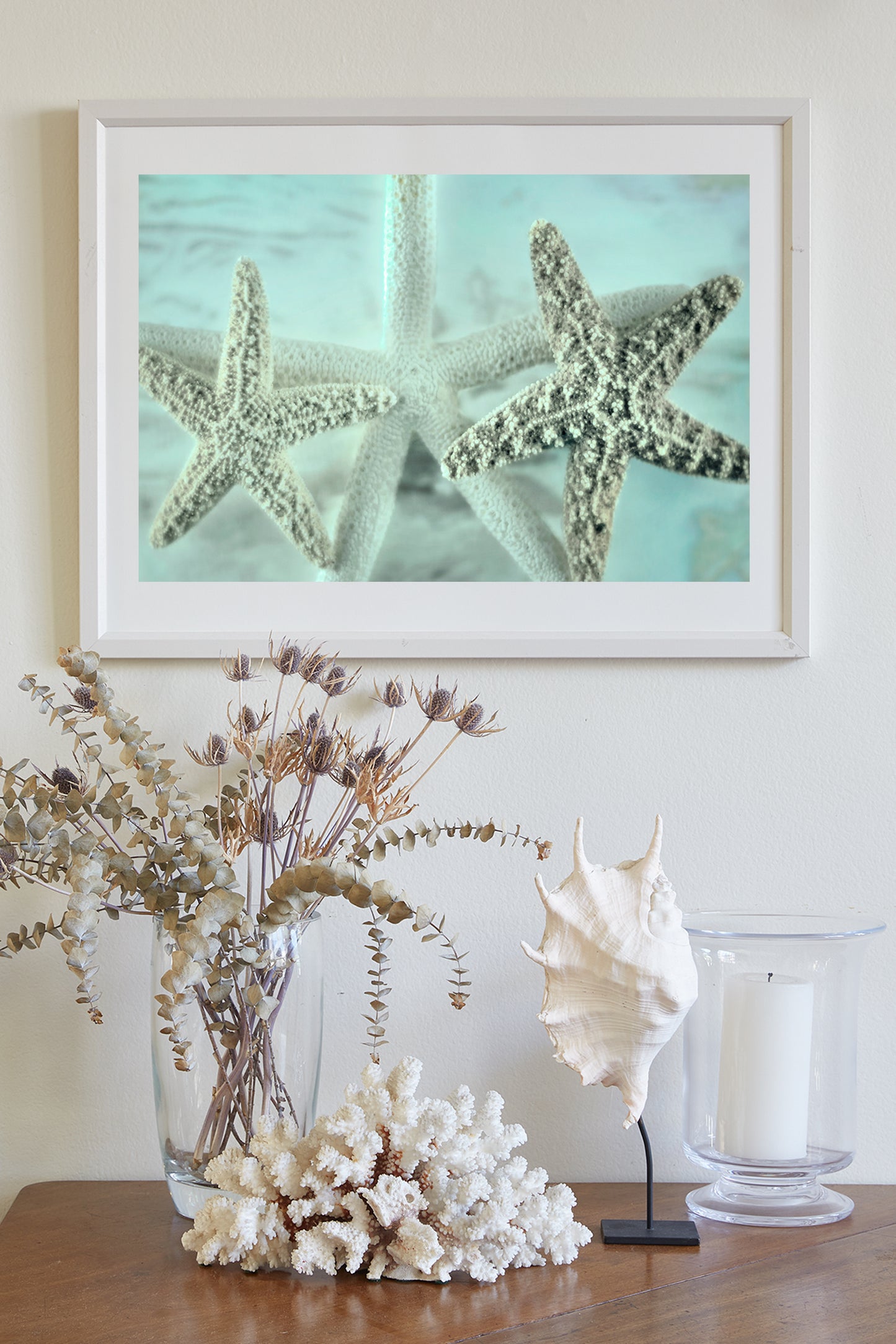 Starfish Wall Decor for Home or Bathroom by Murray Bolesta!