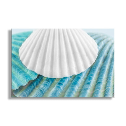 White shell on a blue and green striped background. Seashell Wall Decor in Pale Blue for Bathroom or Home on Framed Canvas as Gift Idea
