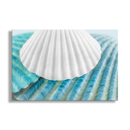 White shell on a blue and green striped background. Seashell Wall Decor in Pale Blue for Bathroom or Home on Framed Canvas as Gift Idea