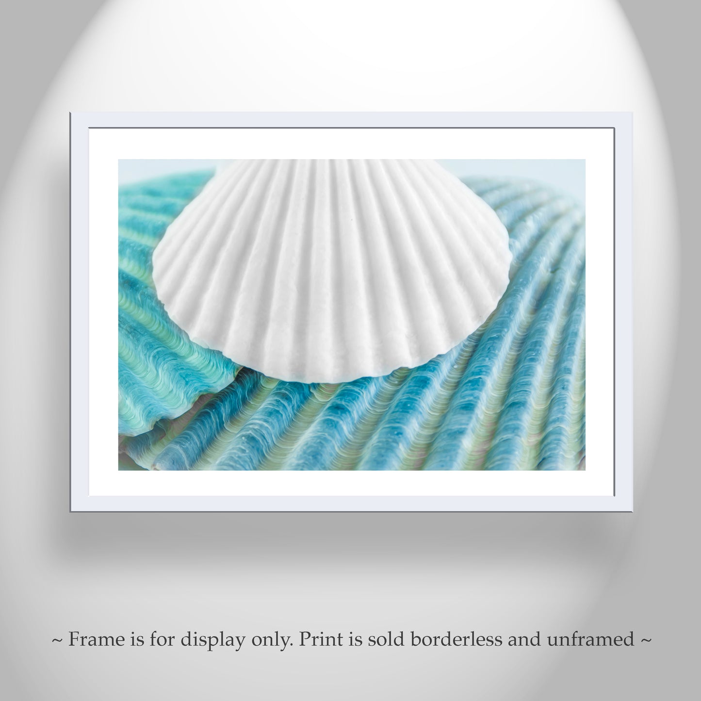 Seashell Wall Decor in Pale Blue for Bathroom or Home on Framed Canvas as Gift Idea