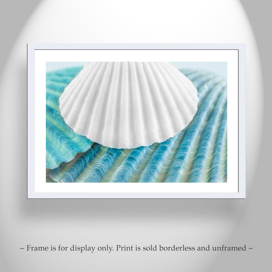 Seashell Wall Decor in Pale Blue for Bathroom or Home on Framed Canvas as Gift Idea
