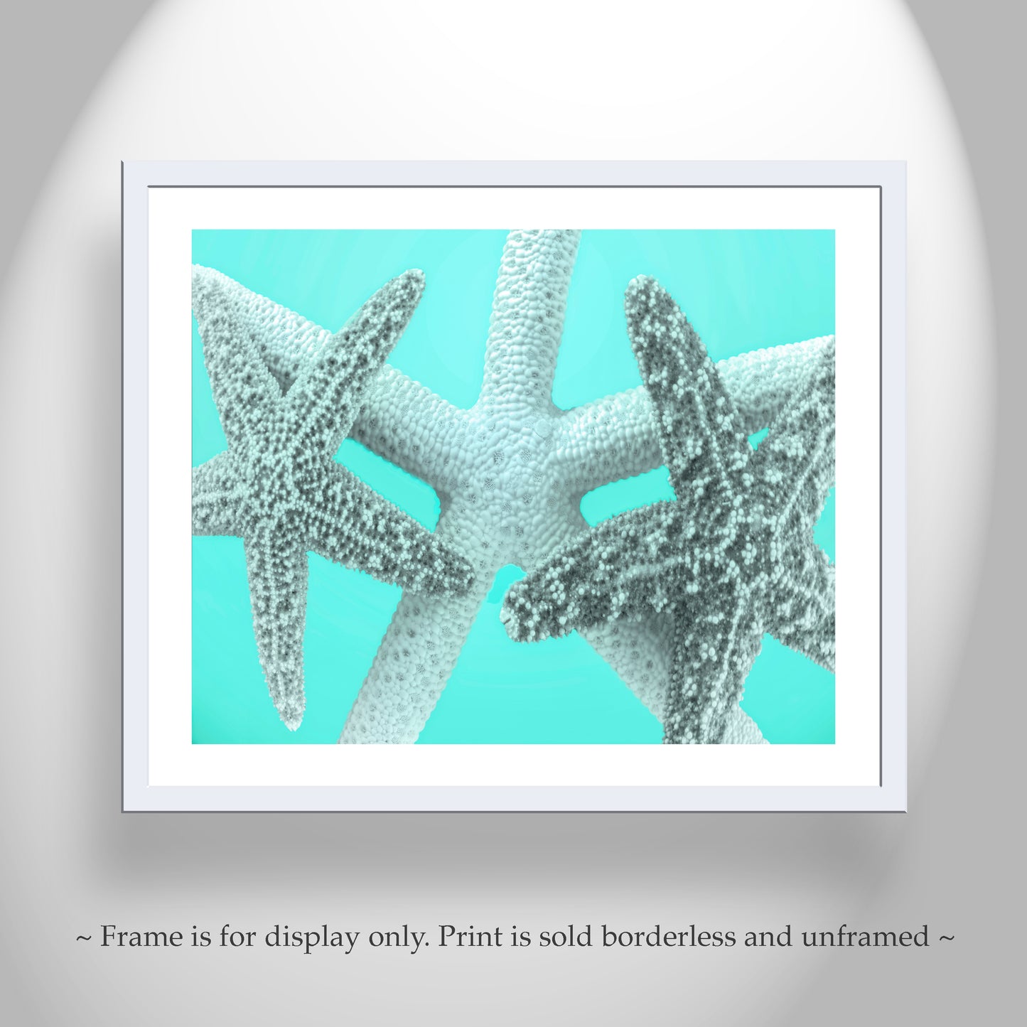 Seashell Art Print in Pale Blue with Starfish for Bath or Home
