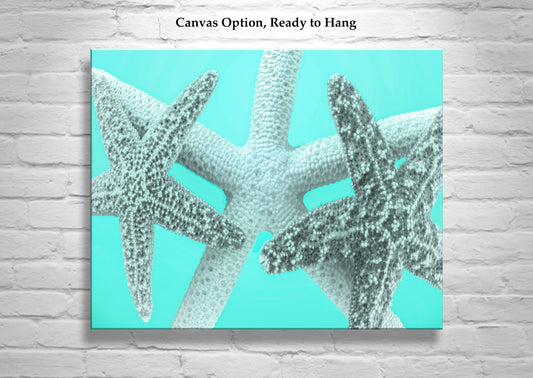 Seashell Art Print in Pale Blue with Starfish for Bath or Home