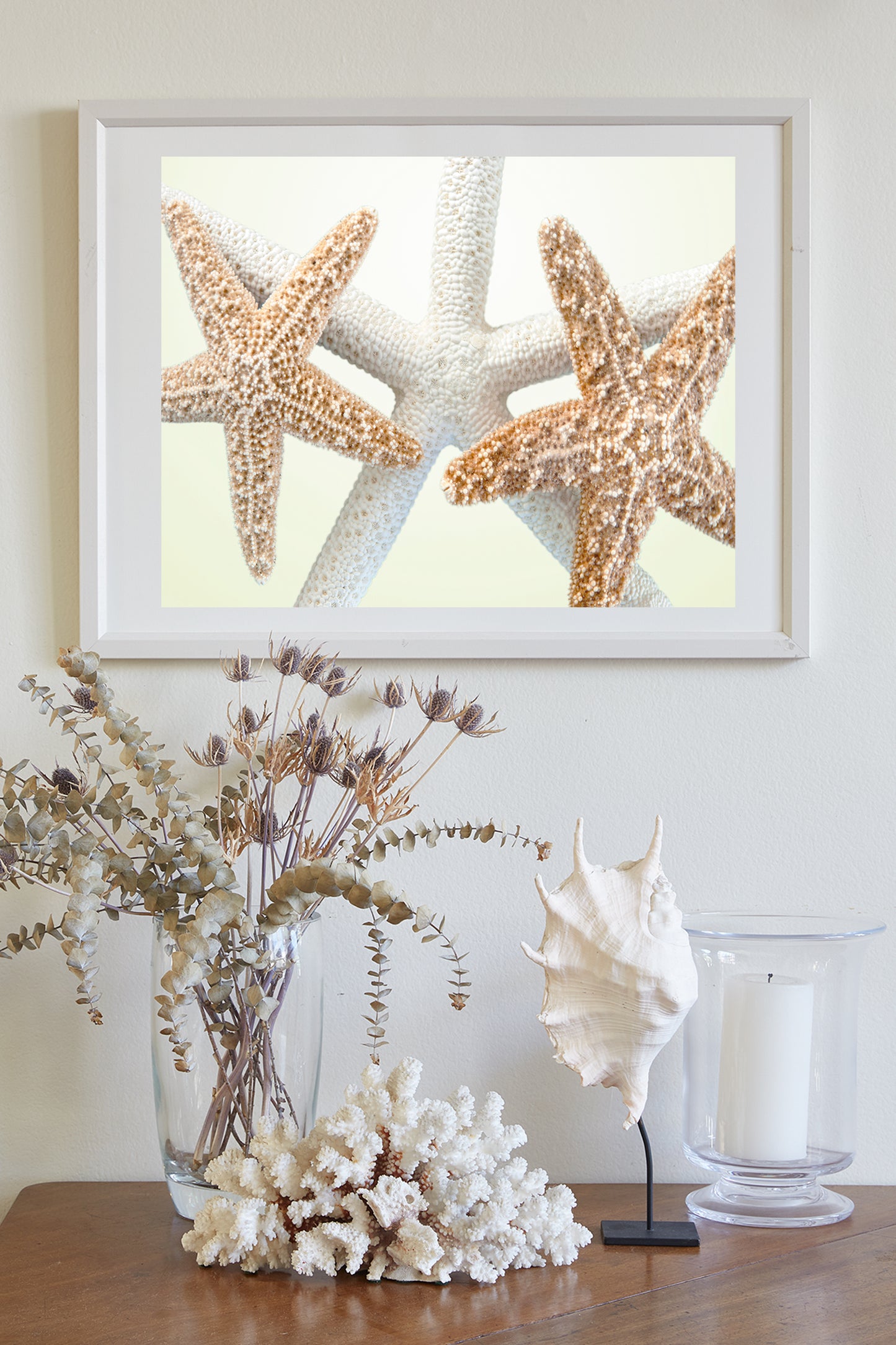 Sea Star Wall Art in Pale Yellow for Bathroom or Home by Murray Bolesta!