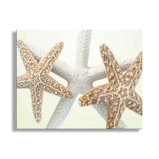 Two starfish on a textured background. Sea Star Wall Art in Pale Yellow for Bathroom or Home by Murray Bolesta!