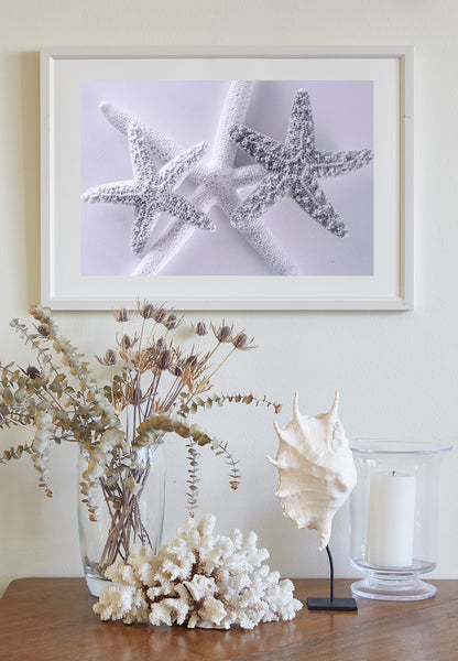 Seashell Art Print in Pale Blue with Starfish for Bathroom or Anywhere