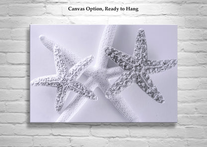 Seashell Art Print in Pale Blue with Starfish for Bathroom or Anywhere