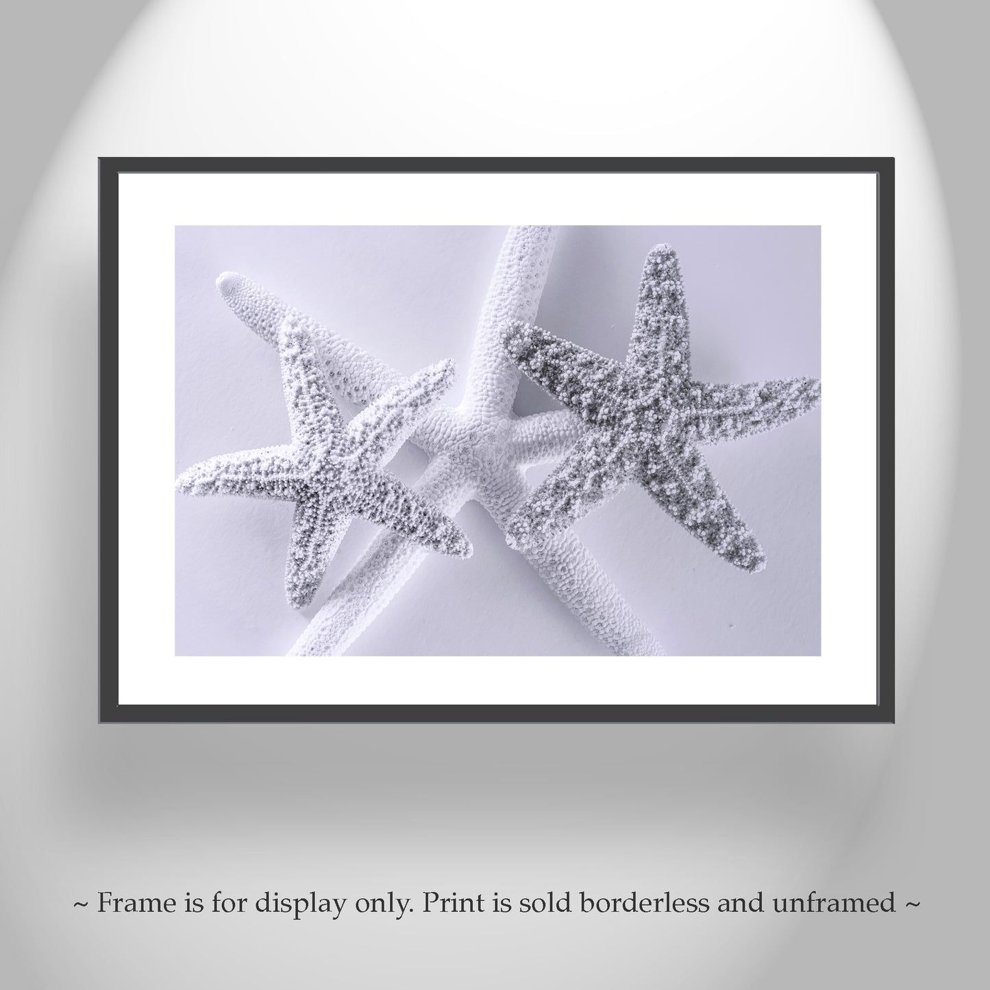 Seashell Art Print in Pale Blue with Starfish for Bathroom or Anywhere