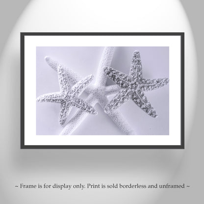 Seashell Art Print in Pale Blue with Starfish for Bathroom or Anywhere