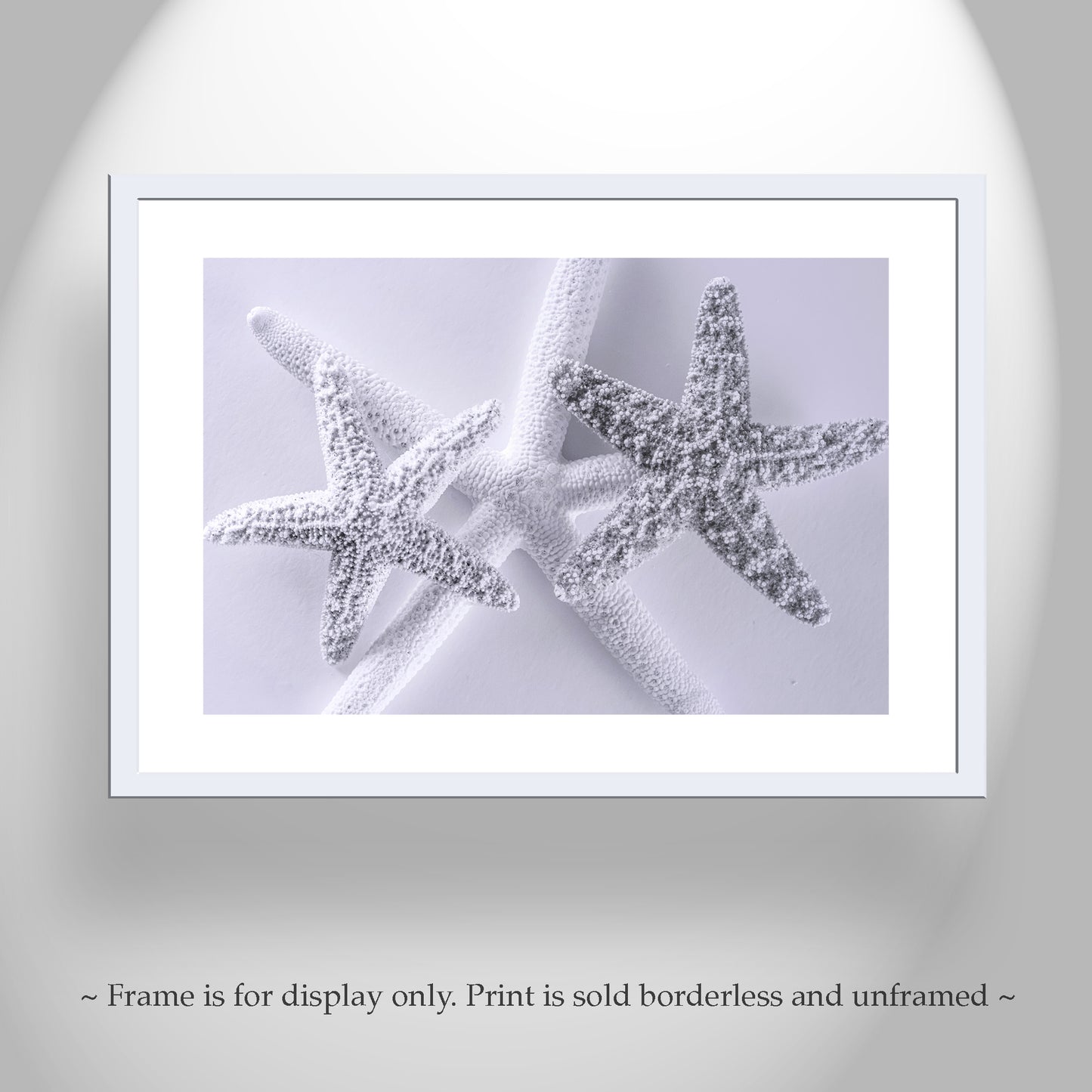 Seashell Art Print in Pale Blue with Starfish for Bathroom or Anywhere