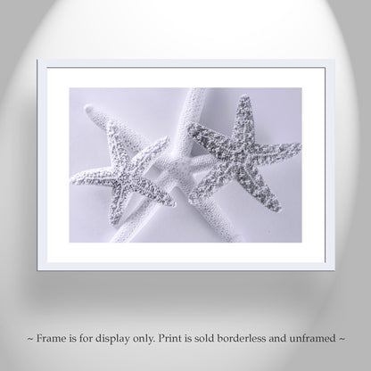 Seashell Art Print in Pale Blue with Starfish for Bathroom or Anywhere