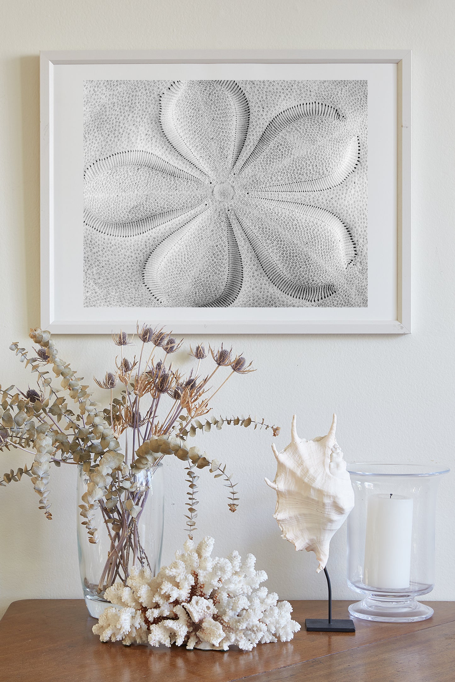 Sea Biscuit Sea Shell Artwork in Black & White | Abstract Nature Wall Decor
