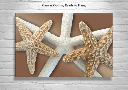 Starfish Wall Decor for Bath on Framed Canvas in Beige & Gold