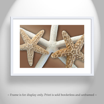Starfish Wall Decor for Bath on Framed Canvas in Beige & Gold