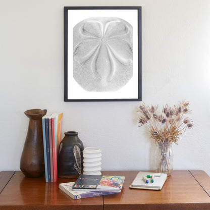 Minimalist Sea Biscuit Seashell Art Print in Black & White Abstract