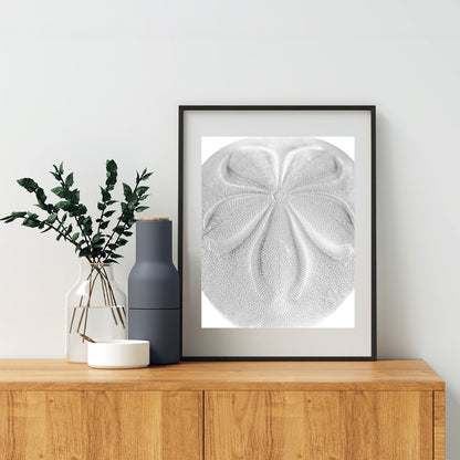 Minimalist Sea Biscuit Seashell Art Print in Black & White Abstract