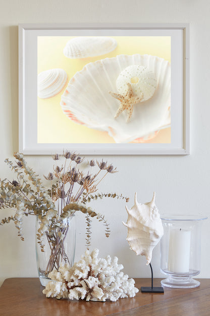 Wall Art with Seashells in Pale Yellow as Decor for Bath or Home | Still Life