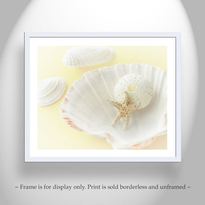 Wall Art with Seashells in Pale Yellow as Decor for Bath or Home | Still Life