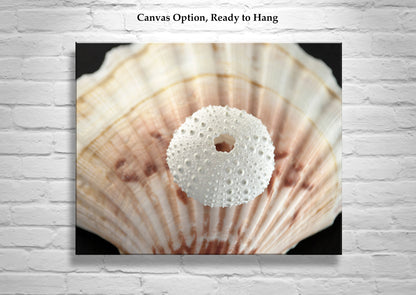 Sea Urchin and Seashells Print in Bold Surreal Style Picture