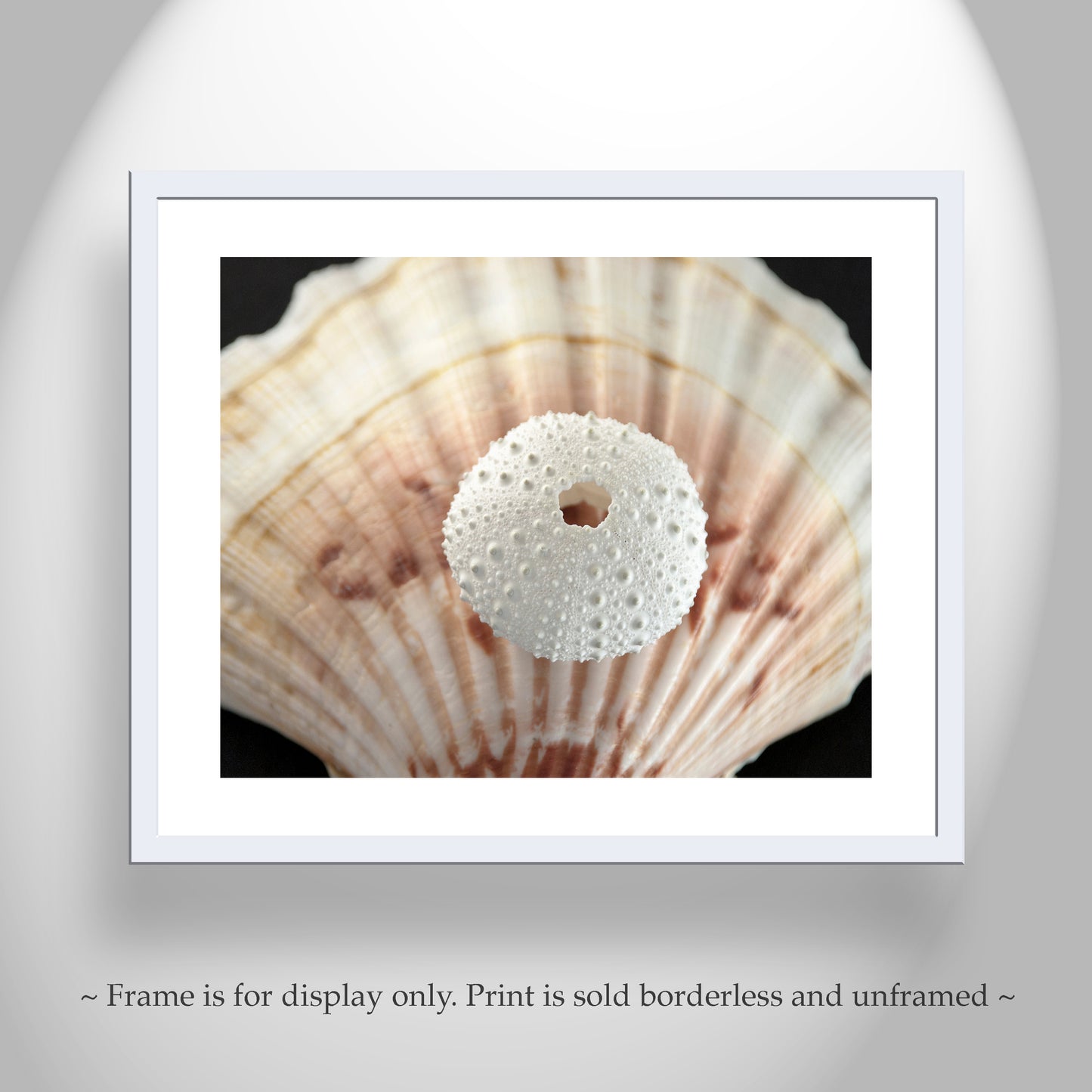 Sea Urchin and Seashells Print in Bold Surreal Style Picture