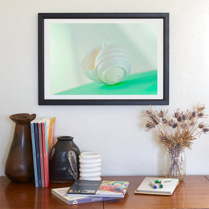 Seashell Wall Art in Pale Green As Wall Decor for Bath or Home