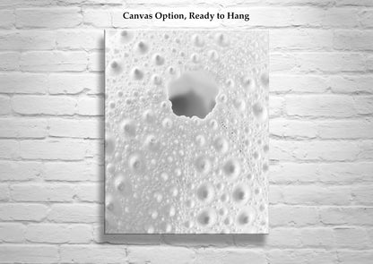 Sea Urchin Wall Art in Black & White as Abstract Nature Wall Decor