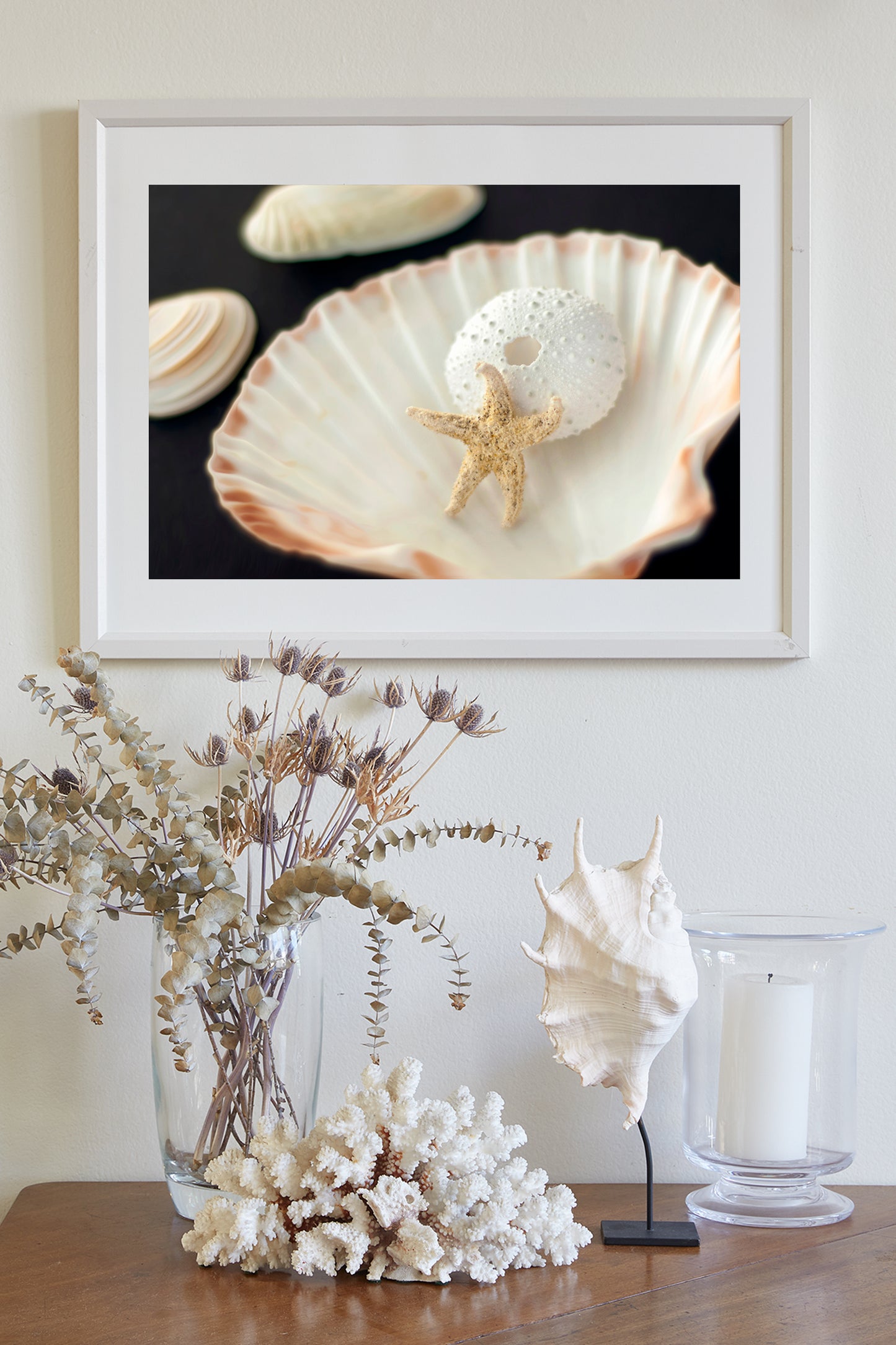 Sea Urchin and Star Fish Decor as Bold Seashell Art for Home