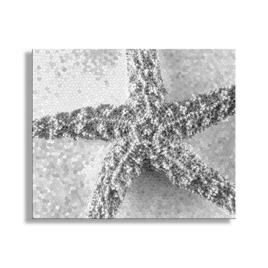 Starfish art print with a textured background. Black & White Still Life Art of Starfish | Bath Decor Ocean Inspired Print