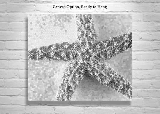 Black & White Still Life Art of Starfish | Bath Decor Ocean Inspired Print