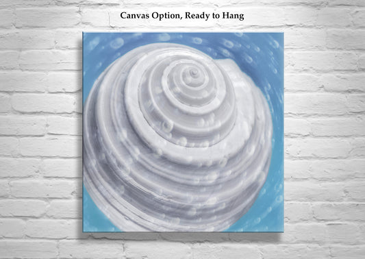 Seashell Print Whimsical Wall Decor with Seashell & Bubbles