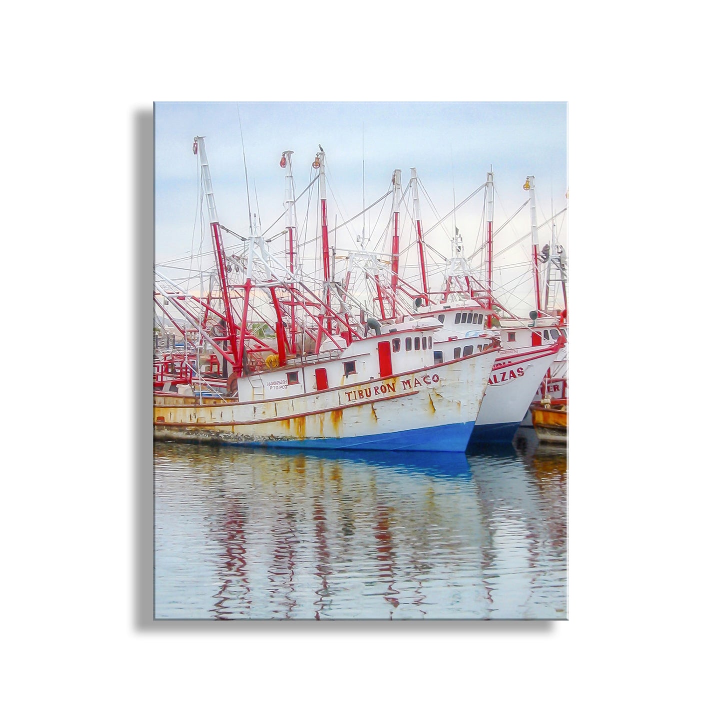 Boats docked at a harbor with clear water and blue sky. Puerto Peñasco Rocky Point Mexico Shrimp Boats Photo Print | Sea of Cortez