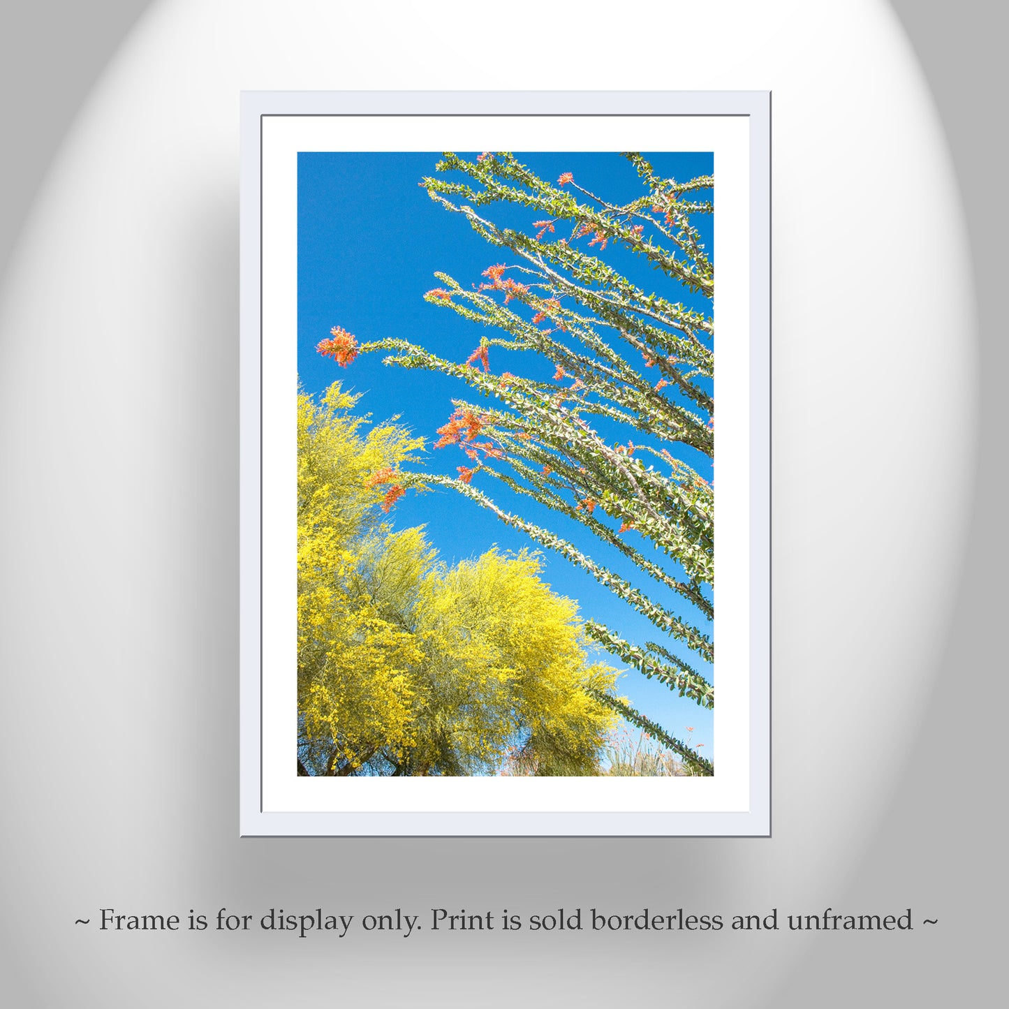 Arizona Desert Flower Art with Ocotillo & Palo Verde Tree