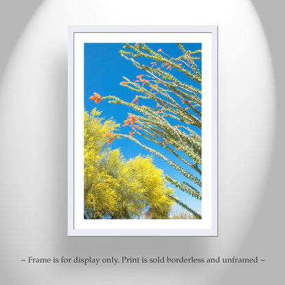 Arizona Desert Flower Art with Ocotillo & Palo Verde Tree