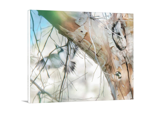 Acorn Woodpecker Bird Wall Art Print as Forest Nature Wall Decor