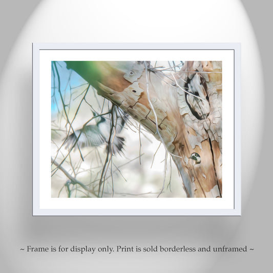 Acorn Woodpecker Bird Wall Art Print as Forest Nature Wall Decor