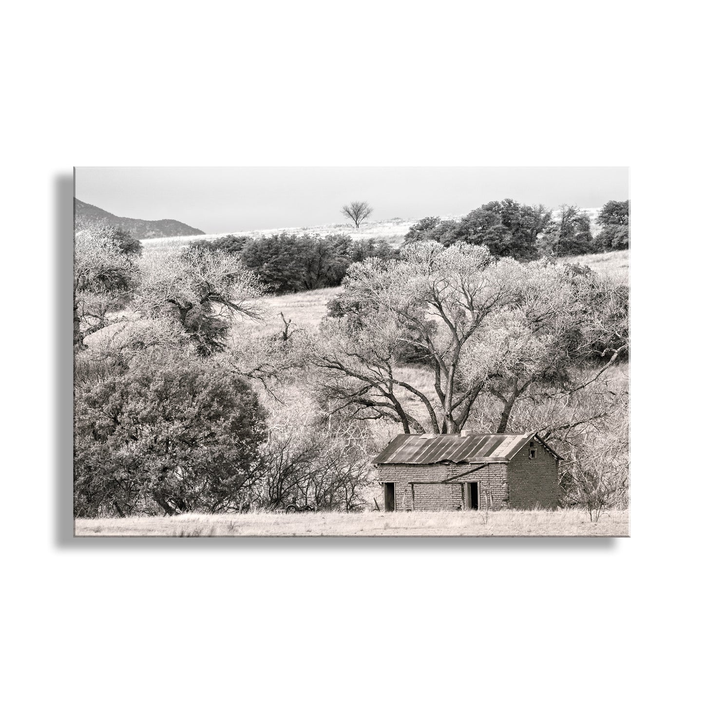 Rustic cabin in a forested landscape with trees and hills in the background. Adobe Barn Ranch Landscape Art Print from Arizona-Mexico Border