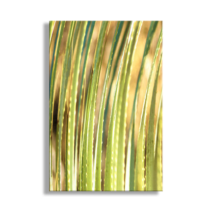 Close-up of green and gold abstract pattern. Green Agave Art Print as Arizona Desert Botanical Wall Decor
