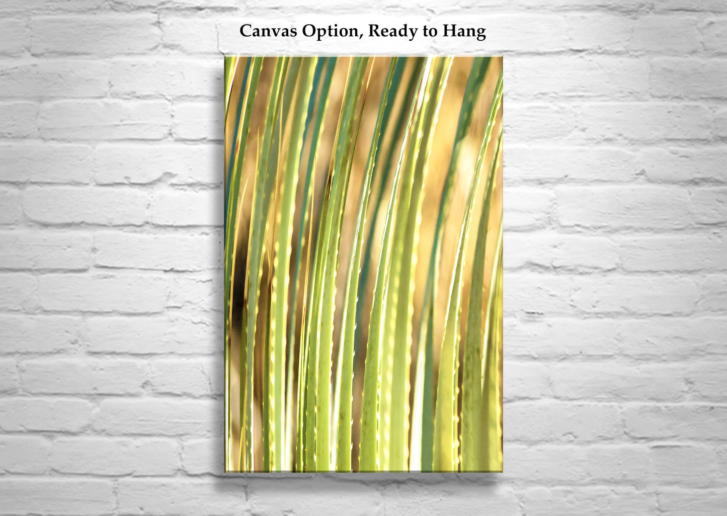 Green Agave Art Print as Arizona Desert Botanical Wall Decor