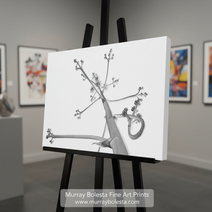 Black and white illustration of a branch with flowers on a white background. Desert Agave Black and White Fine Art Nature Photography. Abstract Minimalist Art. By Murray Bolesta.
