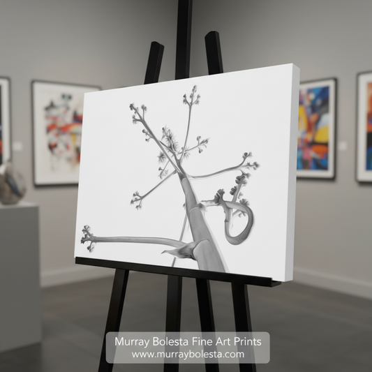 Black and white illustration of a branch with flowers on a white background. Desert Agave Black and White Fine Art Nature Photography. Abstract Minimalist Art. By Murray Bolesta.