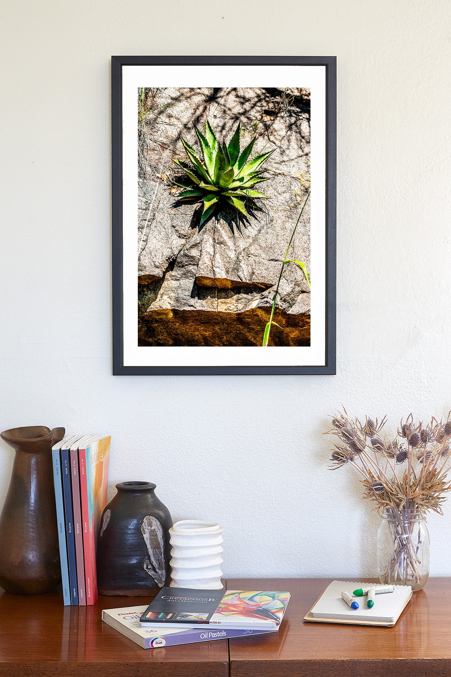 Desert Agave Century Plant Art in Arizona Desert at Mexico Border